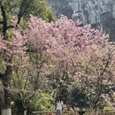 桂林旅游 缩略图 5