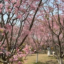 桂林旅游 缩略图 4