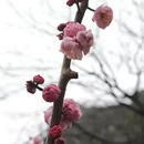 桂林旅游 缩略图 6