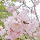 桂林旅游 缩略图 2