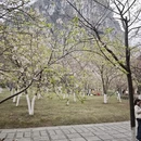 桂林旅游 缩略图 7