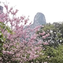 桂林旅游 缩略图 5