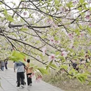 桂林旅游 缩略图 3