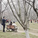 桂林旅游 缩略图 10