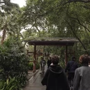 桂林旅游 缩略图 13