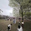 桂林旅游 缩略图 8