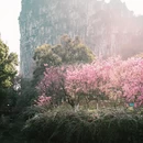 桂林旅游 缩略图 3