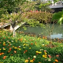 桂林旅游 缩略图 5