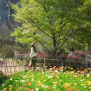 桂林旅游 缩略图 6