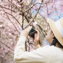 桂林旅游 缩略图 9