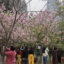 桂林旅游 缩略图 9