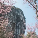 桂林旅游 缩略图 11