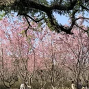 桂林旅游 缩略图 7