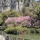 桂林旅游 缩略图 4