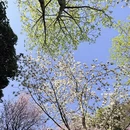 桂林旅游 缩略图 9