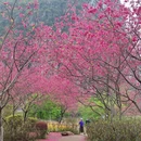 桂林旅游 缩略图 4
