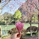 桂林旅游 缩略图 13