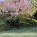 桂林旅游 缩略图 12