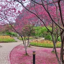 桂林旅游 缩略图 3