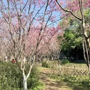 桂林旅游 缩略图 11