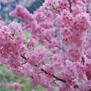 桂林旅游 缩略图 12