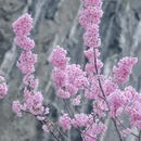 桂林旅游 缩略图 4