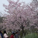 桂林旅游 缩略图 17