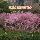 桂林旅游 缩略图 1