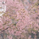 桂林旅游 缩略图 5