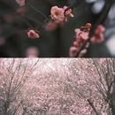 桂林旅游 缩略图 6