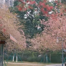 桂林旅游 缩略图 4