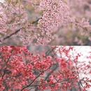 桂林旅游 缩略图 3