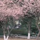 桂林旅游 缩略图 7