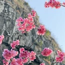桂林旅游 缩略图 4