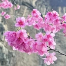 桂林旅游 缩略图 2