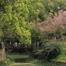 桂林旅游 缩略图 7