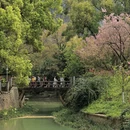 桂林旅游 缩略图 8