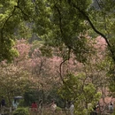 桂林旅游 缩略图 12