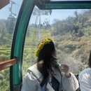 黄山旅游 缩略图 3