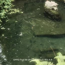 桂林旅游 缩略图 18