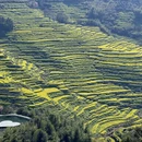 黄山旅游 缩略图 2