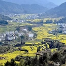 黄山旅游 缩略图 5