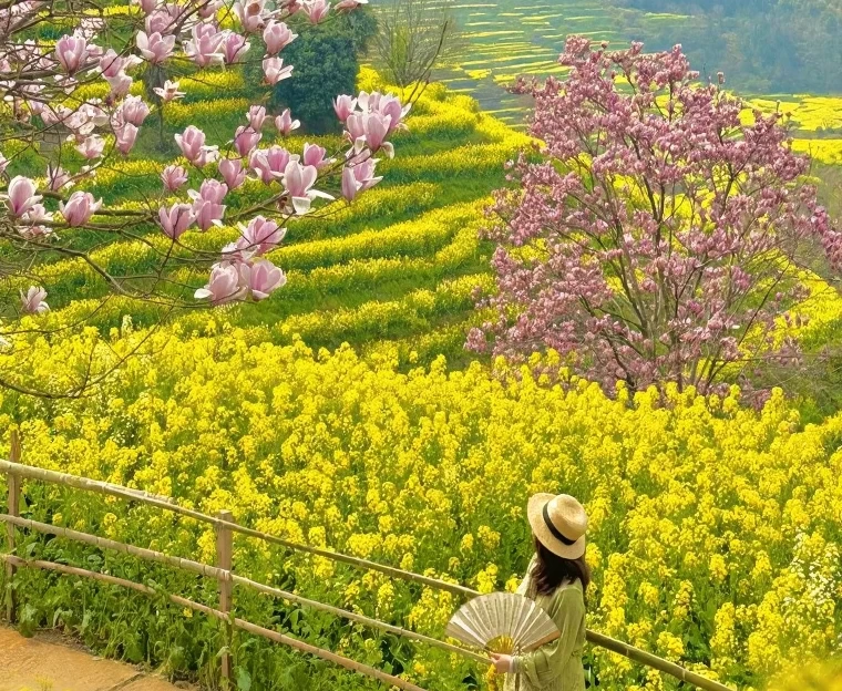 黄山旅游 1