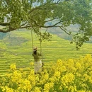 黄山旅游 缩略图 2