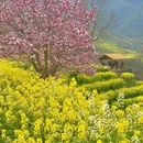 黄山旅游 缩略图 6