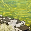 黄山旅游 缩略图 3