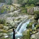 黄山旅游 缩略图 13