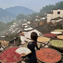 黄山旅游 缩略图 9