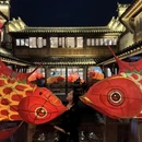 黄山旅游 缩略图 15