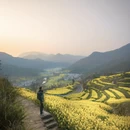 黄山旅游 缩略图 1